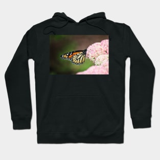 Monarch on Sedum Hoodie